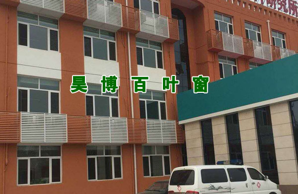 久久国产成人精品国产成人亚洲百葉窗廠家空(kōng)調罩安裝實例(lì)
